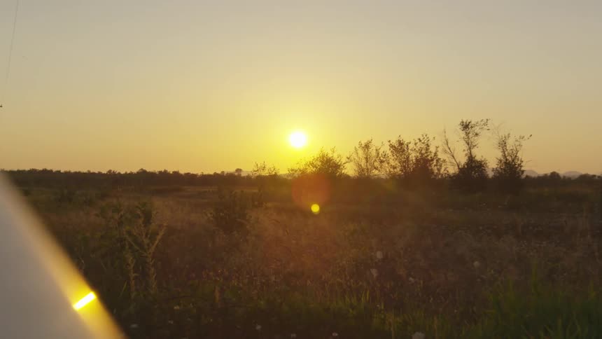 The yellow sun rises on the horizon over trees and brush