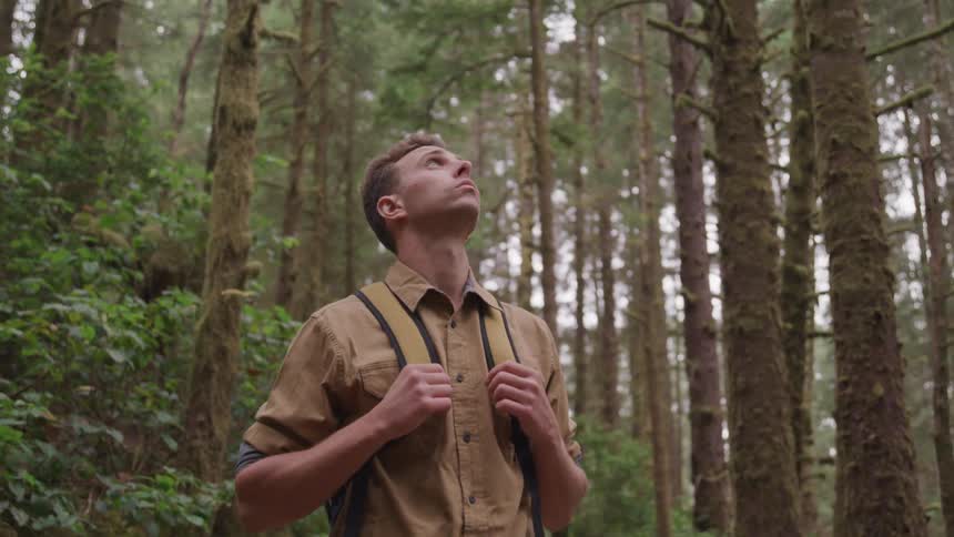 A man holds the straps of his backpack as he walks through the woods looking up at the trees