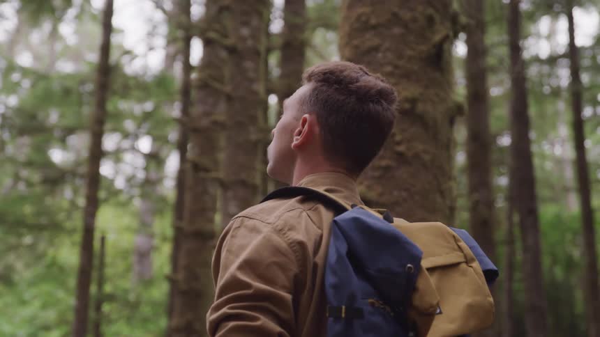 Man wearing a backpack looks up in the sky in the forest