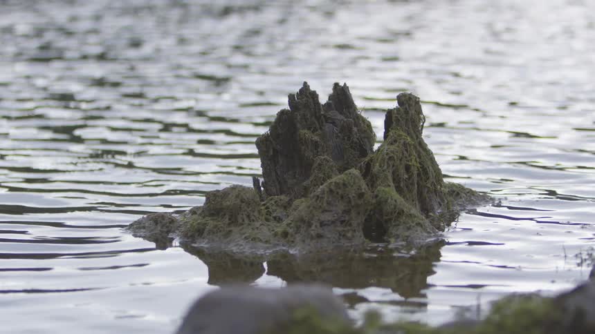 The water moves past the rock