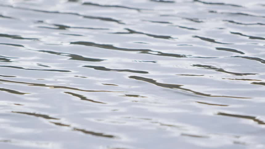 Water flowing with the tide