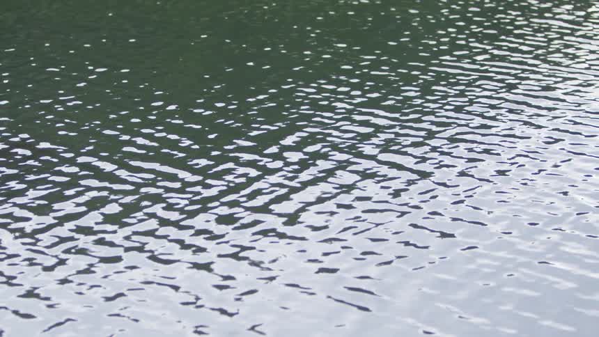 A stream of water rippling reflecting sunlight