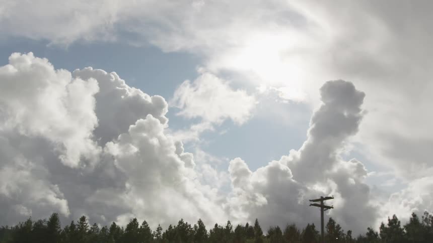 White fluffy clouds fill blue sky over forest tree tops