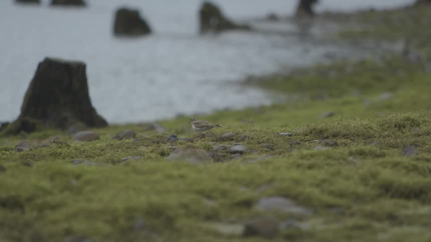 A scenery on the river bank