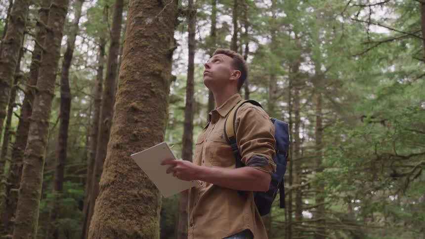 A young man stands in a forest and writes in a notebook and looks up at trees