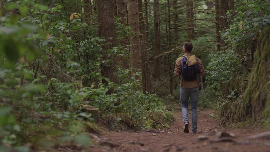 Man wearing a backpack walks on the forest track in the woods