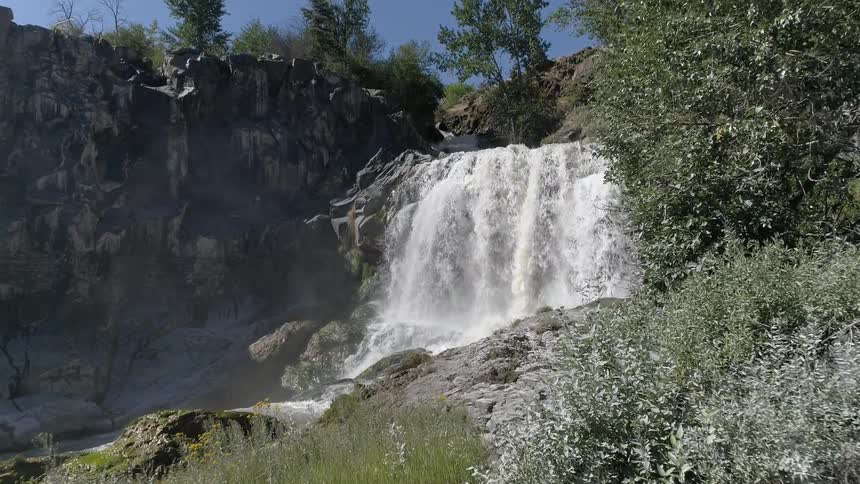 A scenery of a waterfall in the forest