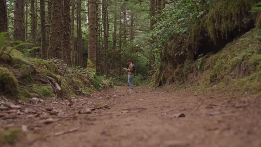 A man standing in the middle of forest