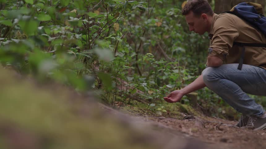 A man going on adventure in the forest