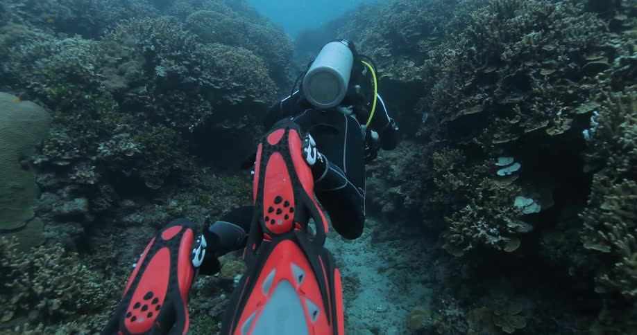 A diver underwater