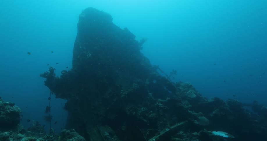 A crashed ship is underwater covered in algae