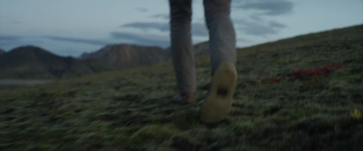 A person walks through thick grass towards large mountains in the distance