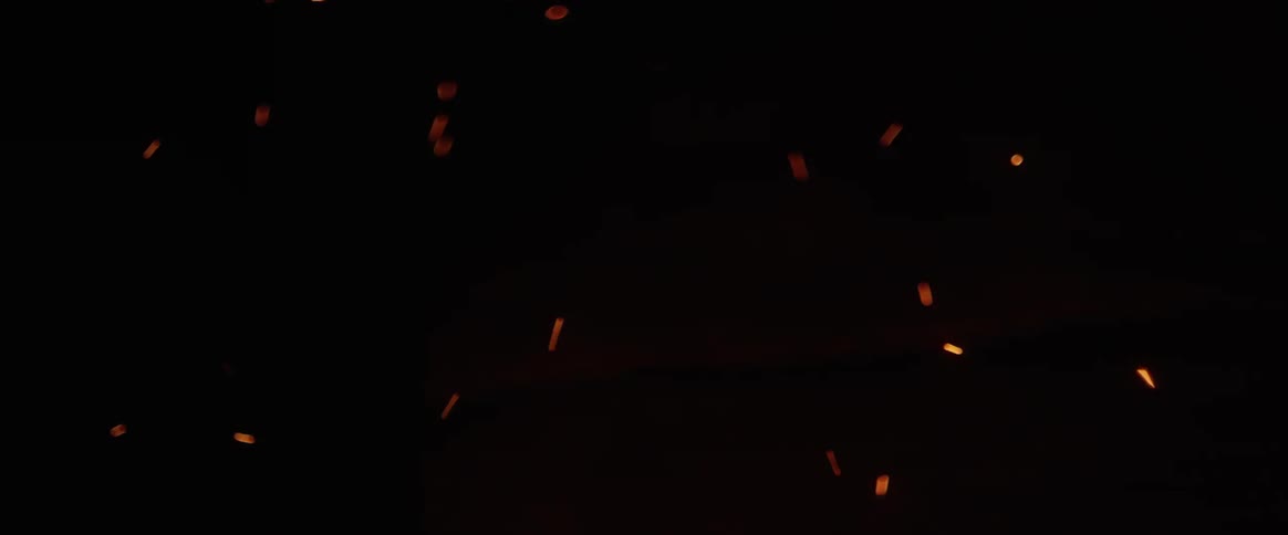 Orange embers and sparks fly up in the air against a black background