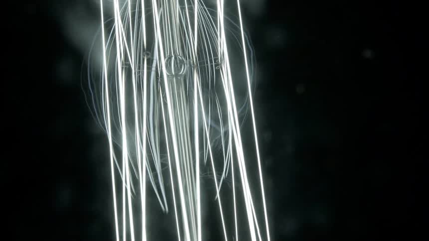 Glowing filaments rotate