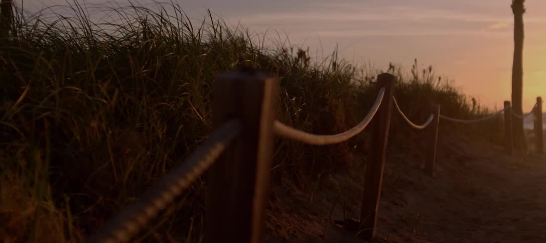 A scenery at the beach trails at dawn
