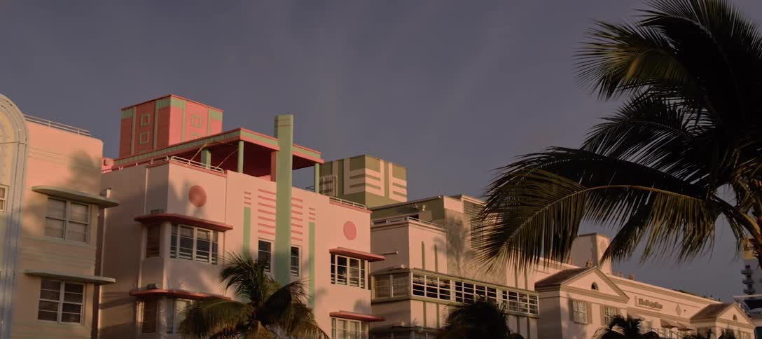 An art deco building and palm tree at dawn