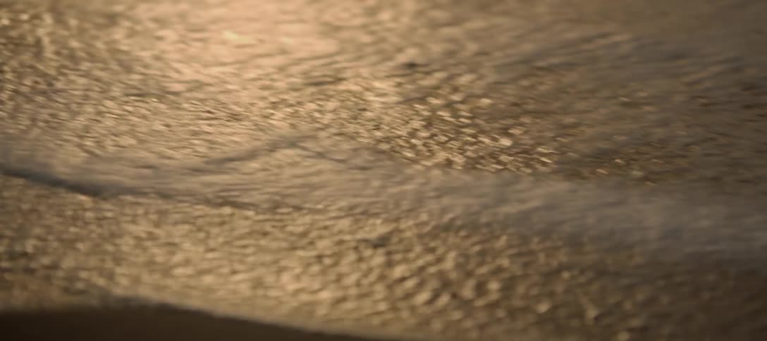 Sunlight shines on the wet sand and ocean water as waves come to shore
