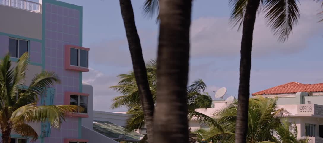 A static shot of a art deco building and palm trees during the day