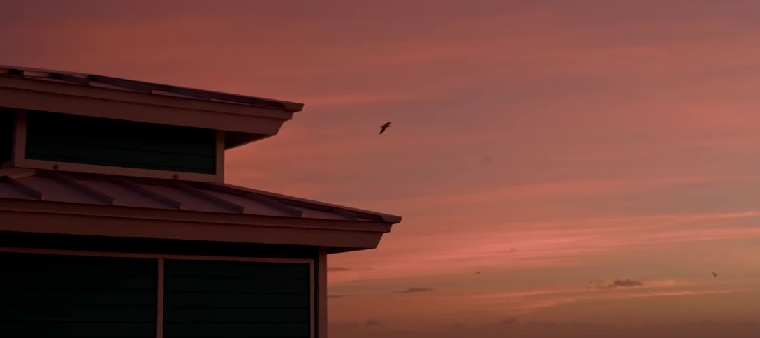 Bird flies past building roof through glowing red sky