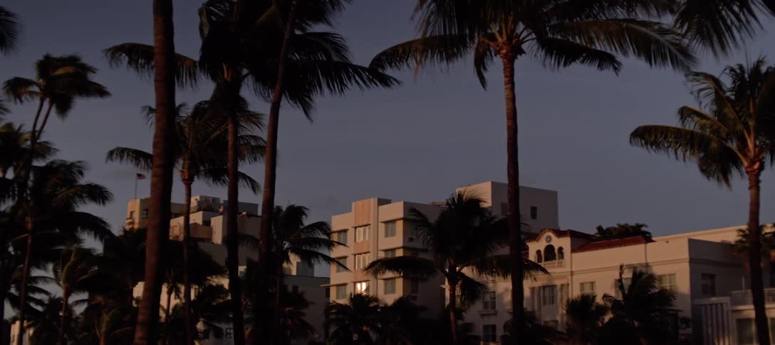 Palm trees in front of stucco buildings