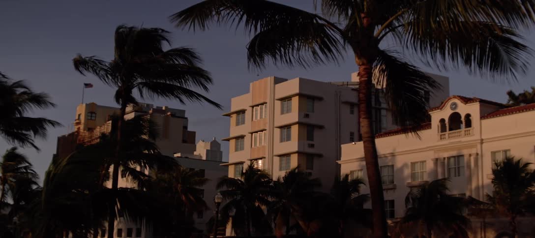 Palm trees in the wind in front of condo buildings