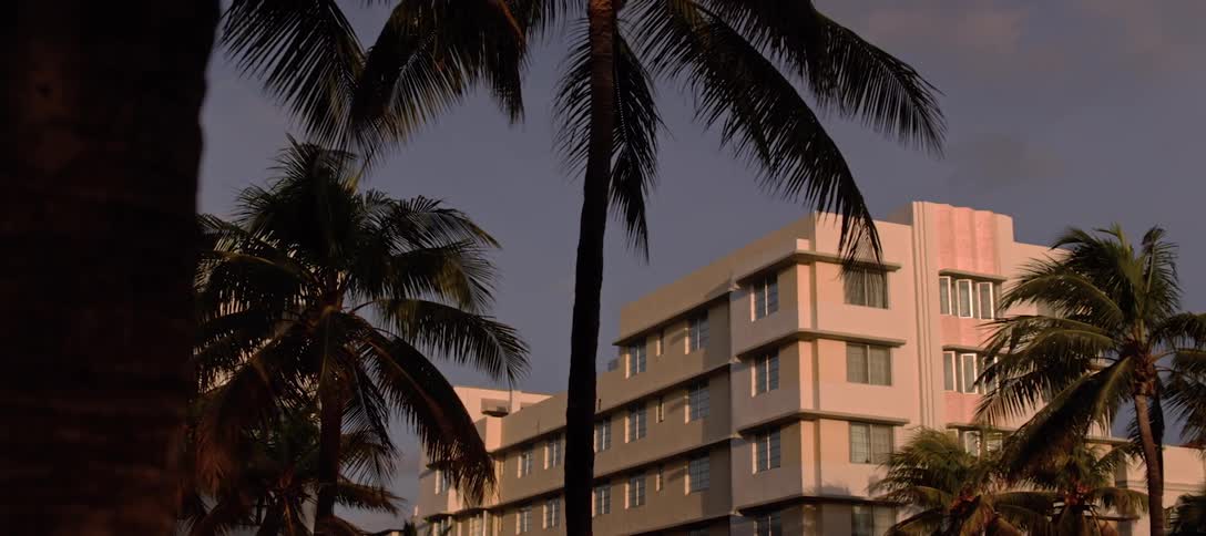 Palm trees that are in front of a hotel building