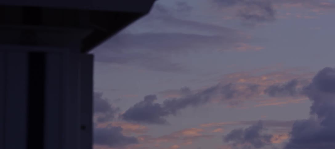 Two birds fly by a house