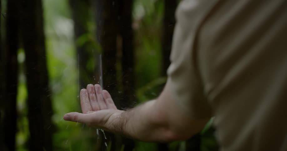Water falling from a tree onto a man's hand