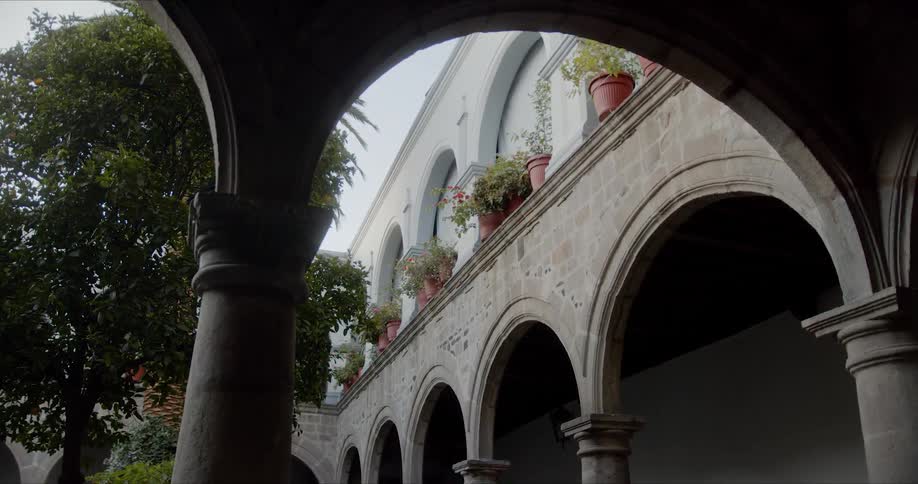 Potted plants on the balcony of a building