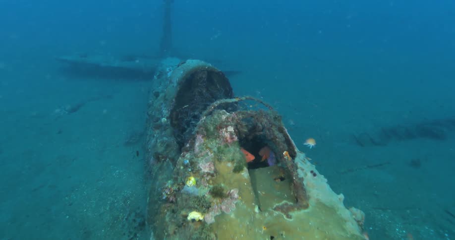 A crashed plane sits on the ocean floor