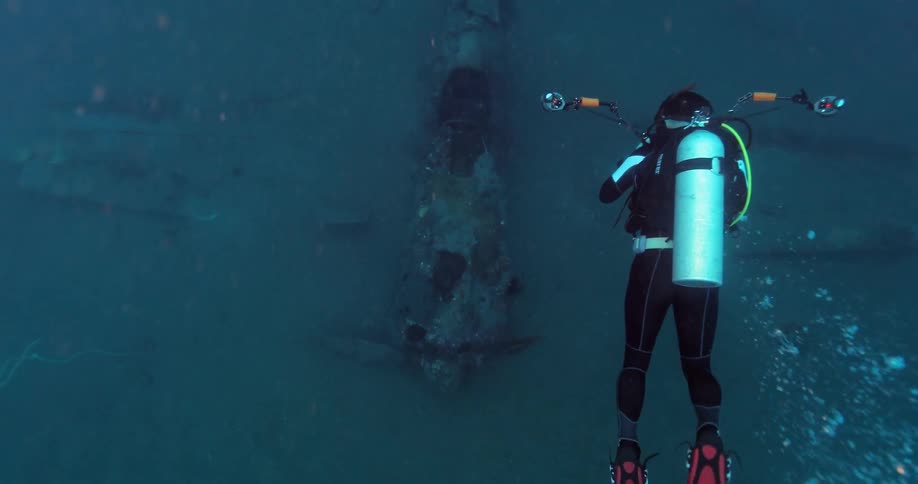 A diver swims in the ocean