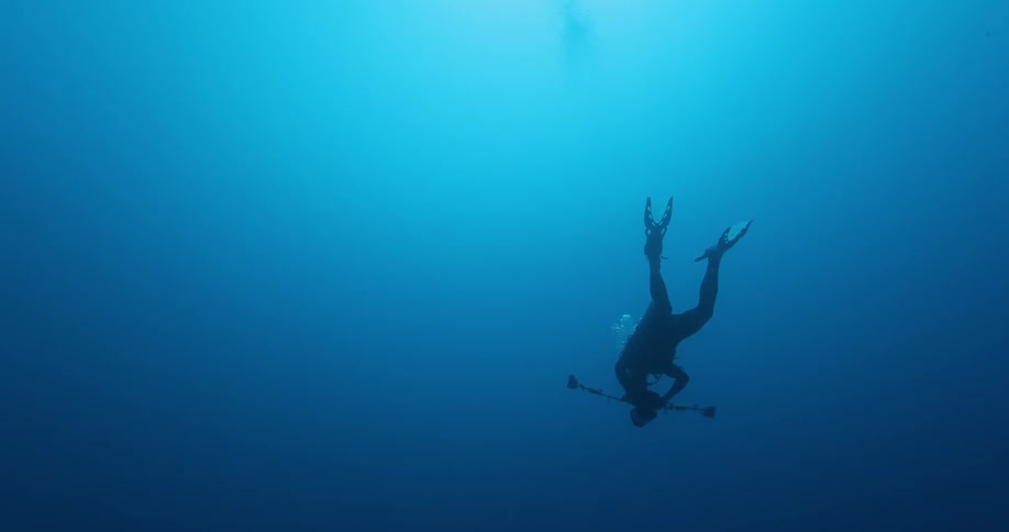 A diver swims in the ocean