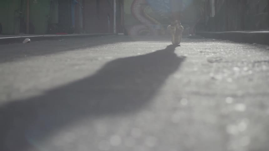 A ballerina dances on her toes