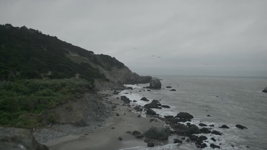Birds flying across a cove on a cloudy day on the coast