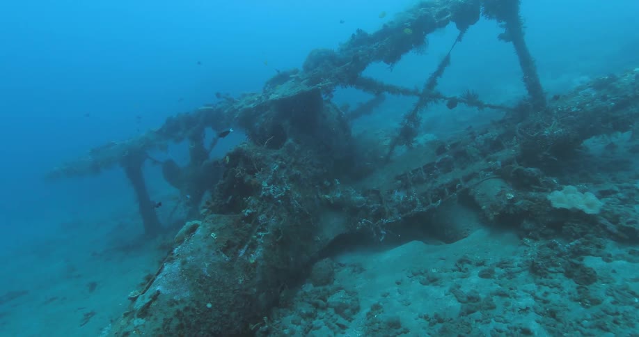 A diver photographs a crashed airplane in the ocean