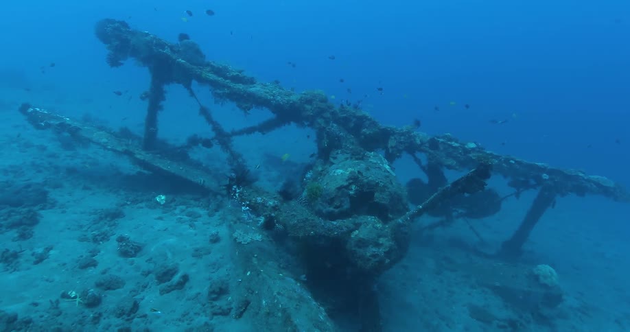 A crashed plane is covered in algae and fish underwater