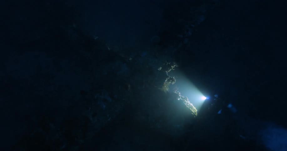 A scuba diver shines a light on a reef