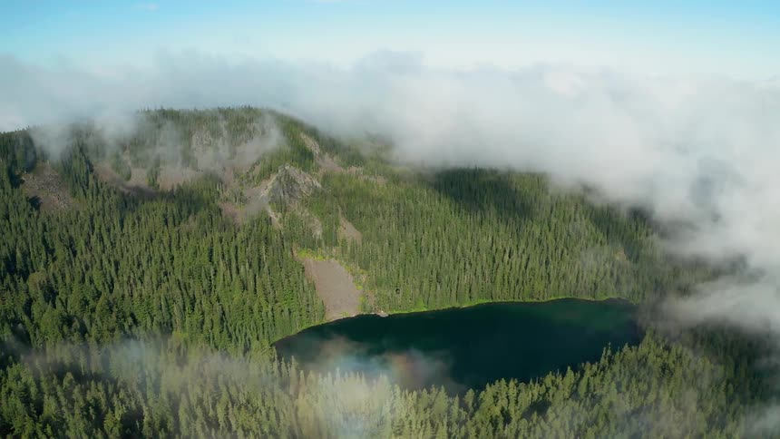 Fog rises around a small lake surrounded by forest