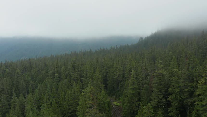 A dense forest covers the hills