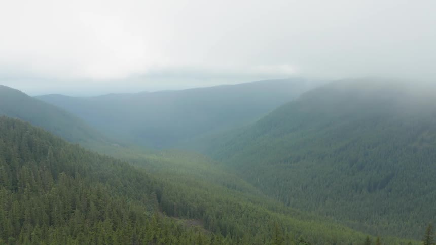 Landscape view of tree covered hills