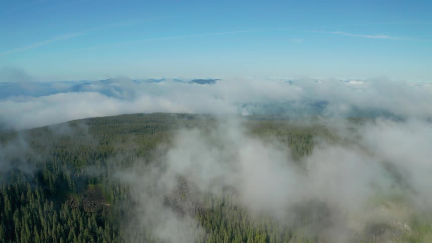 Birds eye view of clouds over a forest