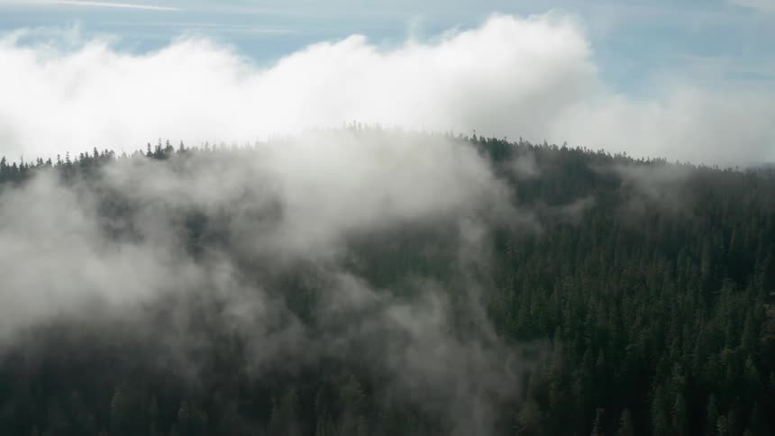 Clouds float over the dense forest during daylight