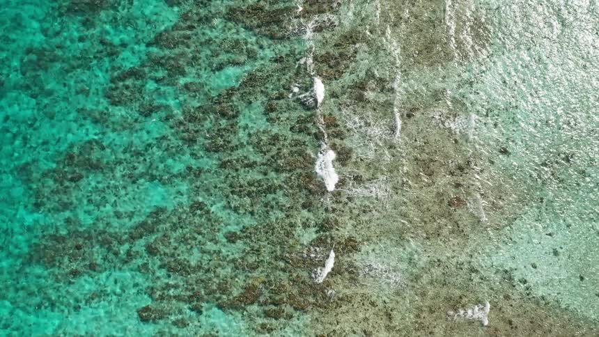 A coral reef with waves flowing over it