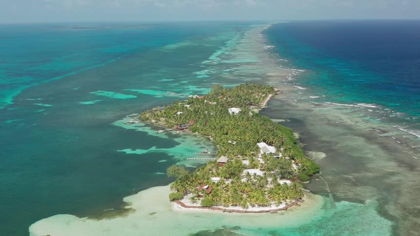 A remote tropical island is covered in palm trees and has a number of buildings on it