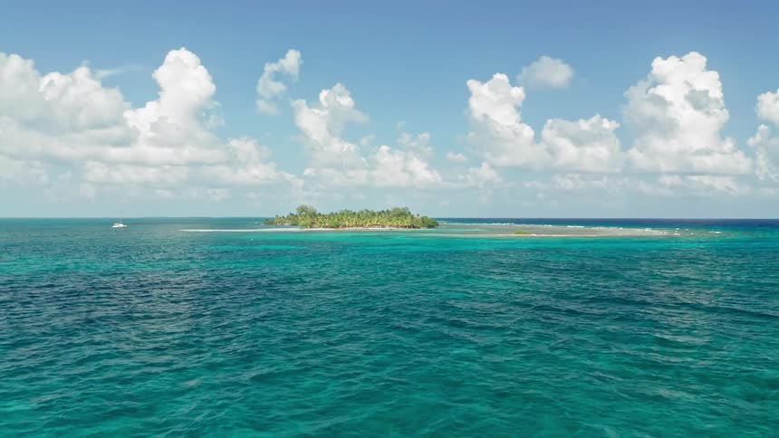 A small flat island with trees sits in the middle of clear turquoise water