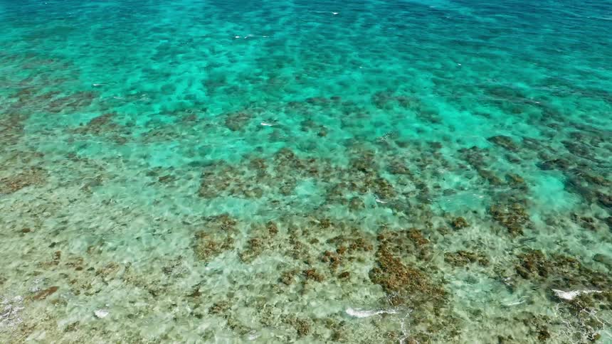 Ocean waves curl and splash in crystal clear water