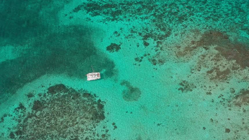 A white catamaran idles above clear tropical waters and the ocean floor below is clearly visible