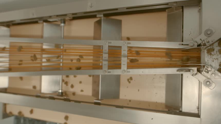 Birds eye view of plants going on a conveyor belt