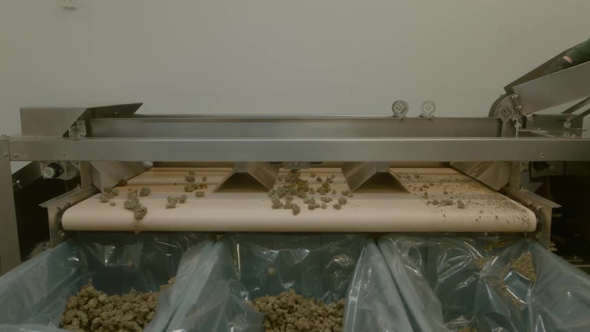 Small objects move on a conveyor belt and fall into plastic lined bins