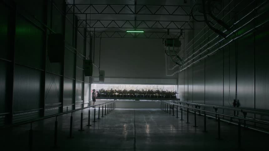 Corridor inside of a building